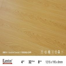 Sàn gỗ Lamton 8mm - D8814